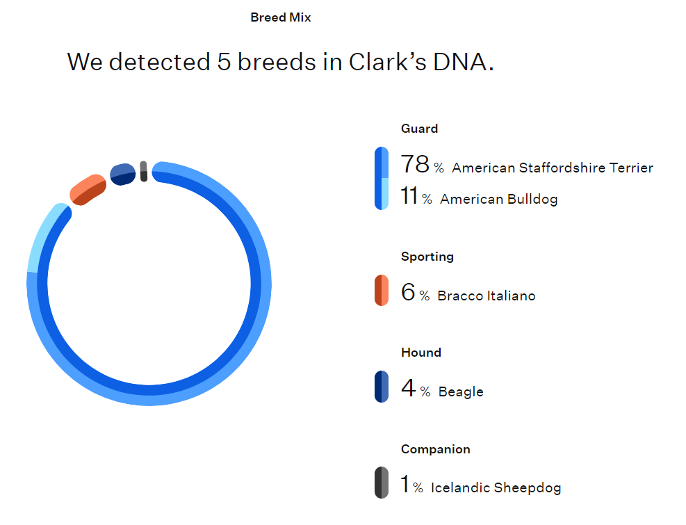 The Best Dog DNA Testing Kits for 2022