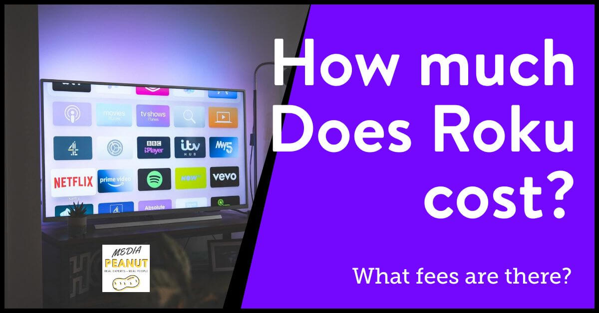 What Does Roku Cost Per Month? (Subscription Fees & Charges) 2022