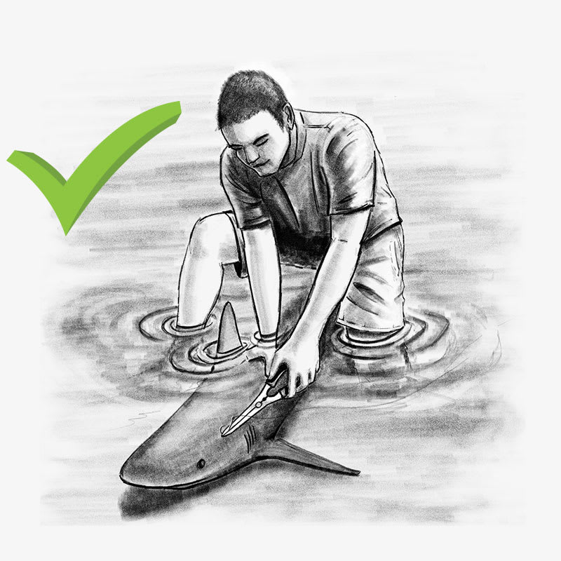 Best Fishing Practices - SCCF
